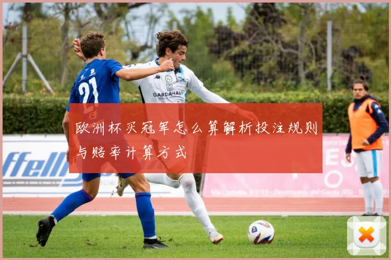 欧洲杯买冠军怎么算解析投注规则与赔率计算方式