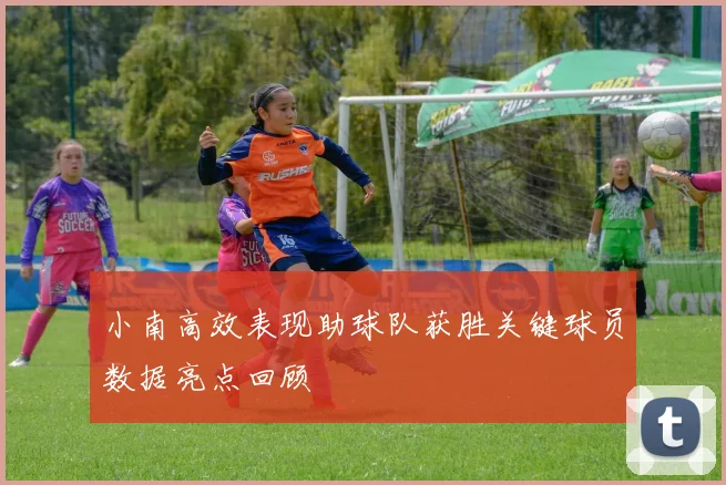 小南高效表现助球队获胜关键球员数据亮点回顾